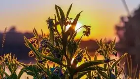 Zachód słońca nad jeziorem Gawlik - zdjęcie 14