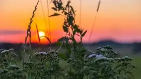 Zachód słońca nad jeziorem Gawlik - zdjęcie 45