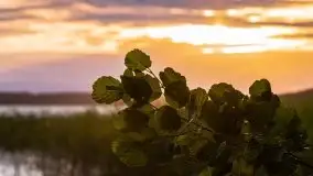 Zachód słońca, plaża Bogacko, jezioro Dejguny - zdjęcie 6