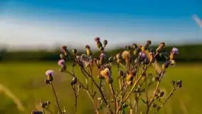 Zachód Słońca nad kanałem Jeglińskim - zdjęcie 13