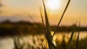 Zachód Słońca nad kanałem Jeglińskim - zdjęcie 23