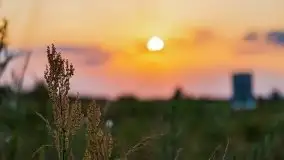 Zachód Słońca nad kanałem Jeglińskim - zdjęcie 41