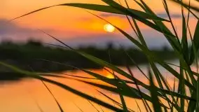 Zachód Słońca nad kanałem Jeglińskim - zdjęcie 30