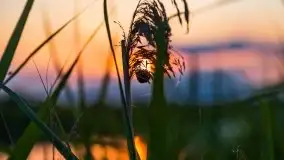 Zachód Słońca nad kanałem Jeglińskim - zdjęcie 47