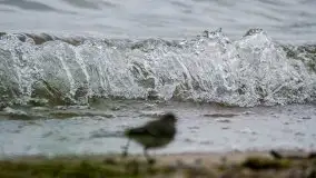 Miłośnicy Mazur - fotografie Stanisława Sielewicza - zdjęcie 13