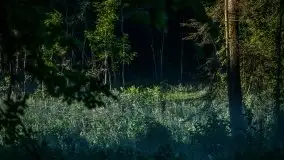 Miłośnicy Mazur - fotografie Stanisława Sielewicza - zdjęcie 24