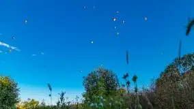 Balony nad Ełkiem 2020 - zdjęcie 32