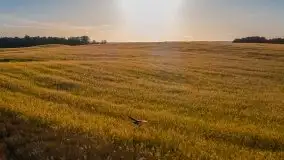 Zachody słońca na Mazurach, lipiec 2020 - zdjęcie 7