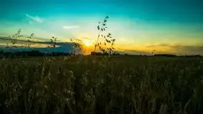 Lipcowe Mazury według Staszka Sielewicza - zdjęcie 1