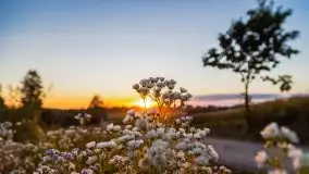 Zachód słońca w Wilkaskach - zdjęcie 14