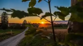 Zachód słońca w Wilkaskach - zdjęcie 21