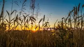 Zachód słońca w Wilkaskach - zdjęcie 11