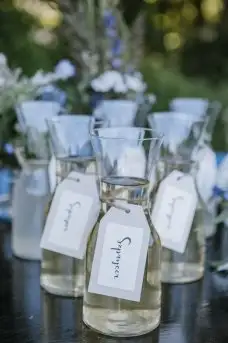 Zdjęcia: Leśne uczty na Mazurach  - zdjęcie 15