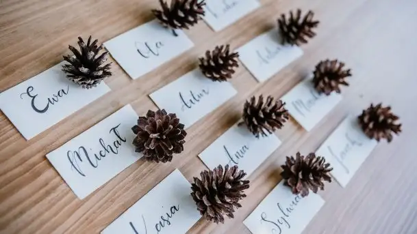 Zdjęcia: Leśne uczty na Mazurach  - zdjęcie 1