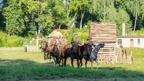 Operacja Boyen, sierpień 2020 - zdjęcie 84