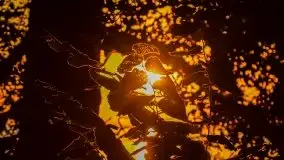 Zachód słońca nad jeziorami Dargin i Skarż Wielki - zdjęcie 17