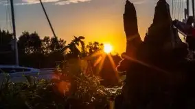 Jezioro Ryńskie, Zatoka Mrówcza - zdjęcie 10