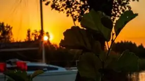 Jezioro Ryńskie, Zatoka Mrówcza - zdjęcie 18