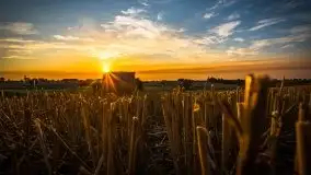 Piękno letnich, sierpniowych Mazur - zdjęcie 2