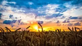 Piękno letnich, sierpniowych Mazur - zdjęcie 7