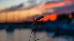 Zachód słońca, Ekomarina Giżycko, sierpień 2020 - zdjęcie 8