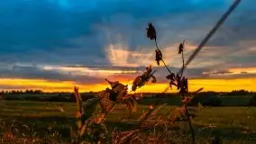 Zachód Słońca przy miejscowości Sterławki, sierpień 2020 r. - zdjęcie 7