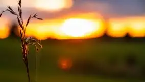 Zachód Słońca przy miejscowości Sterławki, sierpień 2020 r. - zdjęcie 21