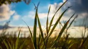 Zachód słońca nad jeziorem Ławki, wrzesień 2020 r. - zdjęcie 16