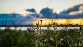 Zachód słońca nad jeziorem Ławki, wrzesień 2020 r. - zdjęcie 20