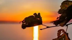 Zachód słońca nad jeziorem Dargin - zdjęcie 41