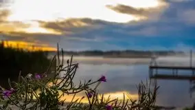 Wschód słońca nad jeziorem Pozezdrze - zdjęcie 10