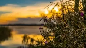 Wschód słońca nad jeziorem Pozezdrze - zdjęcie 44