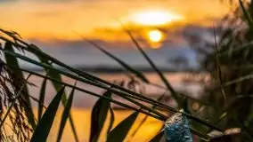 Wschód słońca nad jeziorem Pozezdrze - zdjęcie 38