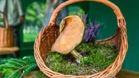 I Mazurski Maraton Rolkowy, wrzesień 2020 - zdjęcie 130