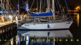 Nocne Tło Dla Mew, wrzesień 2020 r. - zdjęcie 4