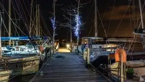 Nocne Tło Dla Mew, wrzesień 2020 r. - zdjęcie 10