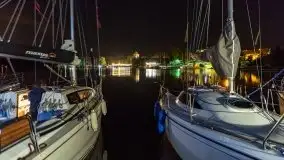 Nocne Tło Dla Mew, wrzesień 2020 r. - zdjęcie 11