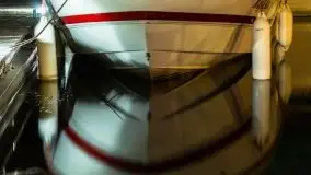 Nocne Tło Dla Mew, wrzesień 2020 r. - zdjęcie 23