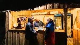 Nocne Tło Dla Mew, wrzesień 2020 r. - zdjęcie 30