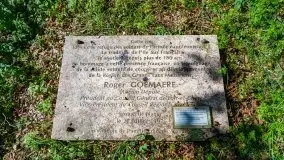 Sprzątanie Świata (Mazur) przez Rotarack Giżycko i Giżycką Grupę Regatową - zdjęcie 55