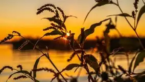 Zachód słońca nad jeziorem Niegocin - zdjęcie 10