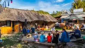 Zakończenie sezonu 2020 w Tle Dla Mew - zdjęcie 33