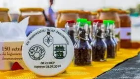 Zakończenie sezonu 2020 w Tle Dla Mew - zdjęcie 53