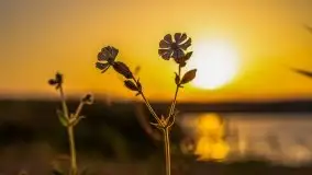 Październikowy wschód słońca nad jeziorem Kruklin - zdjęcie 30