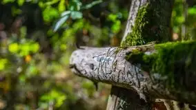 W poszukiwaniu jesieni na Mazurach - zdjęcie 31