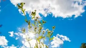 W poszukiwaniu jesieni na Mazurach - zdjęcie 48