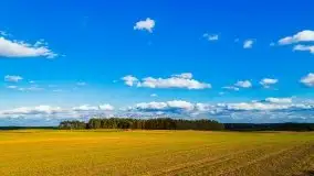 W poszukiwaniu jesieni na Mazurach - zdjęcie 37