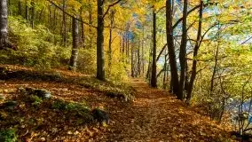 Piękna polska, mazurska złota jesień... rok temu - zdjęcie 3