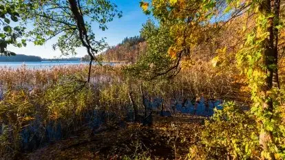 Piękna polska, mazurska złota jesień... rok temu
