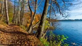 Piękna polska, mazurska złota jesień... rok temu - zdjęcie 14